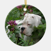 White boxer in Pink Rhodies Keramisch Ornament (Voorkant)