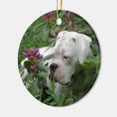 White boxer in Pink Rhodies Keramisch Ornament (Links)