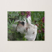White boxer in Pink Rhodies Legpuzzel (Horizontaal)