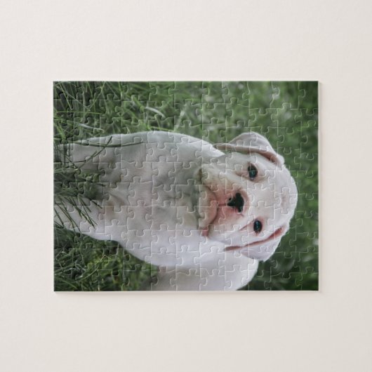 White Boxer Jigzaag Puzzle Legpuzzel (Horizontaal)