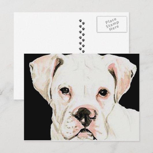 White boxer Original Dog Art Briefkaart (Voorkant / Achterkant)