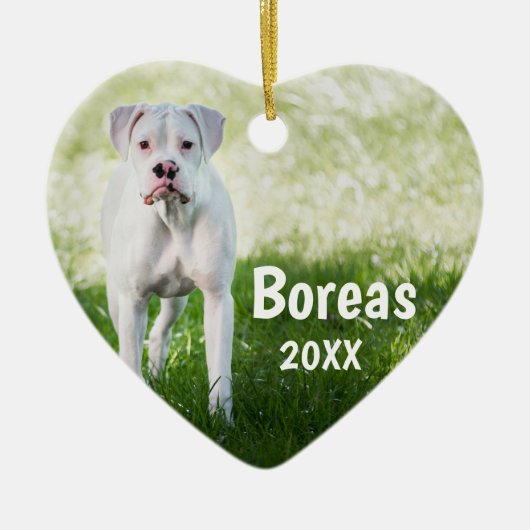 White Boxer Personalized Kerstmis Ornament (Voorkant)