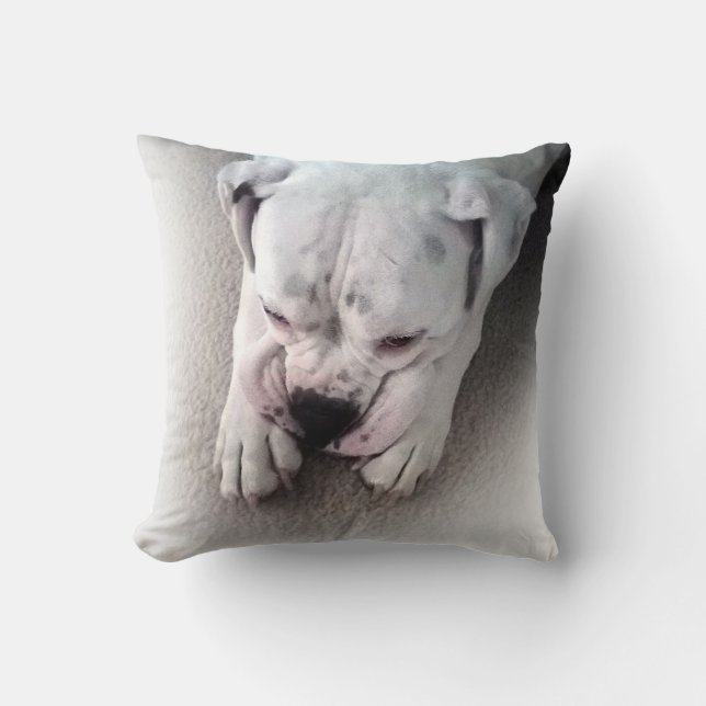 White boxer Pillow Kussen (Voorkant)