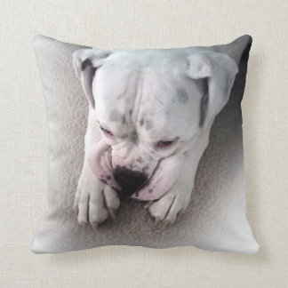 White boxer Pillow Kussen