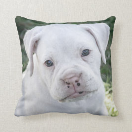 White boxer Puppy - Aangepaste foto Kussen