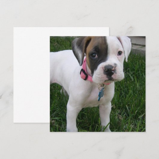 White Boxer Puppy Dog Invitation Kaart (Voorkant / Achterkant)