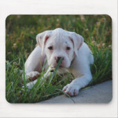 White Boxer Puppy Muismat (Voorkant)