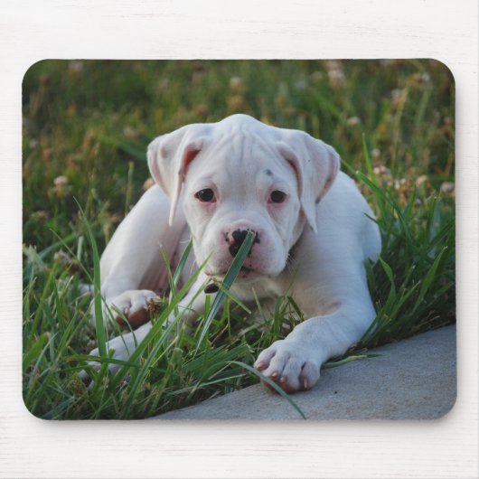 White Boxer Puppy Muismat (Voorkant)