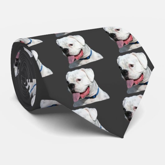 White Boxer stropdas (Opgerold)