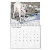 White boxer Wall Agenda Kalender (Feb 2027)