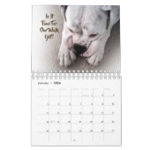 White boxer Wall Agenda Kalender (Jan 2026)
