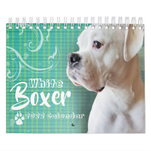 White boxer Wall Agenda Kalender
