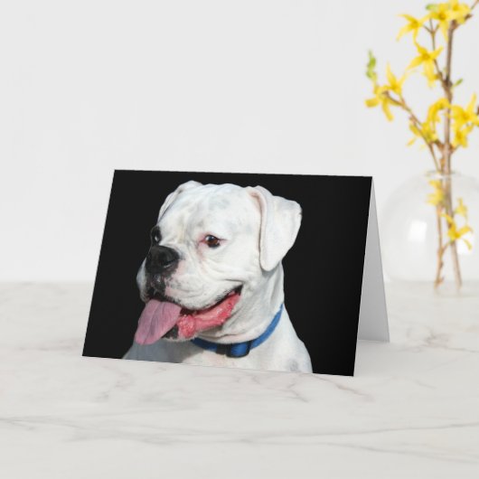 White Boxer wenskaart Kaart (Gele Bloem)