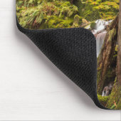 White Branch Falls, Oregon-cascaden, Oregon Muismat (Hoek)