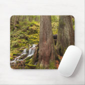 White Branch Falls, Oregon-cascaden, Oregon Muismat (Met muis)