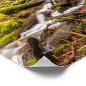 White Branch Falls, Oregon-cascaden, Oregon Poster (Hoek)