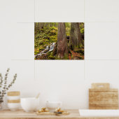 White Branch Falls, Oregon-cascaden, Oregon Poster (Keuken)