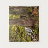 White Branch Falls, Oregon-cascaden, Oregon Wandkleed (Voorkant)