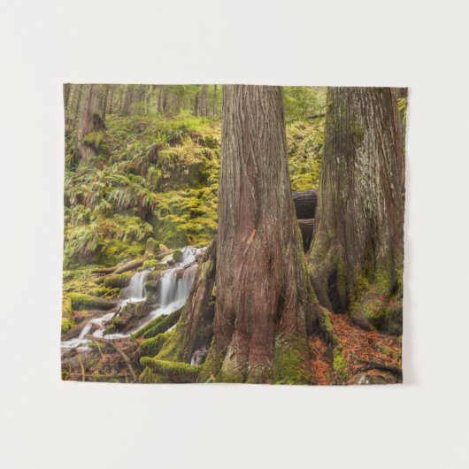 White Branch Falls, Oregon-cascaden, Oregon Wandkleed (Voorkant (horizontaal))