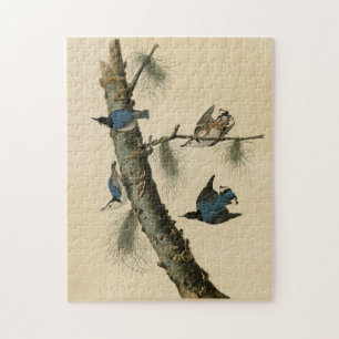 White Breasted Nuthatch Audubon's Birds of America Legpuzzel