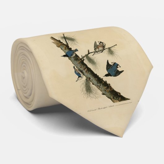 White Breasted Nuthatch Audubon's Birds of America Stropdas (Opgerold)