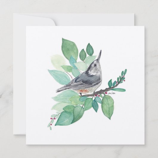 White Breasted Nuthatch Bird Art (Voorkant)