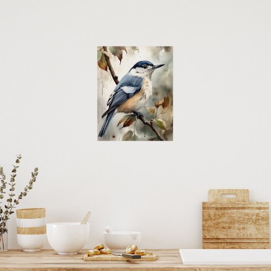 White Breasted Nuthatch Bird Art Print Poster (Keuken)