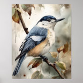 White Breasted Nuthatch Bird Art Print Poster (Voorkant)