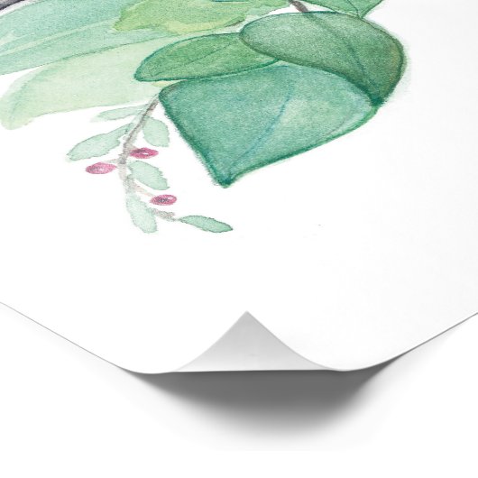 White Breasted Nuthatch Bird Foto Afdruk (Hoek)