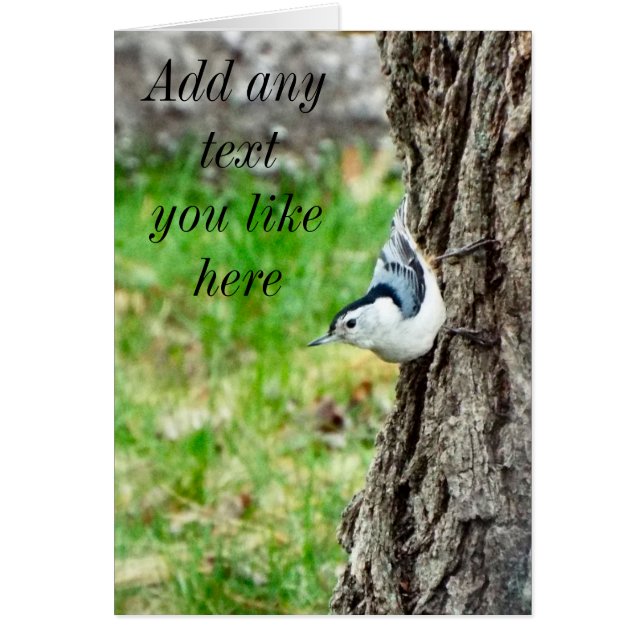White Breasted Nuthatch Card (Voorkant)