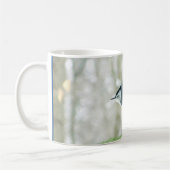 White Breasted Nuthatch Mok (Links)