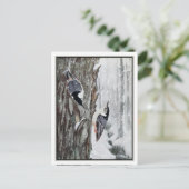 White-Breasted Nuthatch - Robert Bruce Horsfall Briefkaart (Staand voorkant)