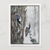 White-Breasted Nuthatch - Robert Bruce Horsfall Briefkaart (Voorkant)