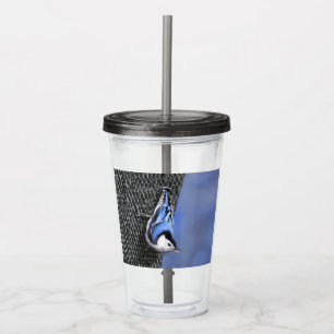 White-Breasted Nuthatch schilderende Originele Bir Acryl Drinkbeker