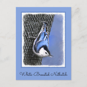 White-Breasted Nuthatch schilderende Originele Bir Briefkaart