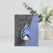 White-Breasted Nuthatch schilderende Originele Bir Briefkaart (Staand voorkant)