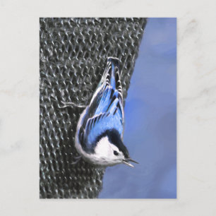 White-Breasted Nuthatch schilderende Originele Bir Briefkaart