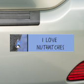 White-Breasted Nuthatch schilderende Originele Bir Bumpersticker (Op auto)