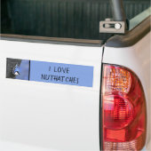 White-Breasted Nuthatch schilderende Originele Bir Bumpersticker (Op Truck)