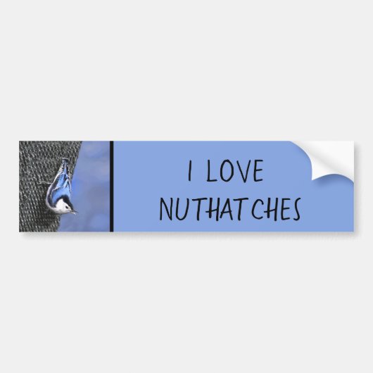 White-Breasted Nuthatch schilderende Originele Bir Bumpersticker (Voorkant)