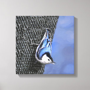 White-Breasted Nuthatch schilderende Originele Bir Canvas Afdruk