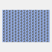 White-Breasted Nuthatch schilderende Originele Bir Inpakpapier Vel (Voorkant)