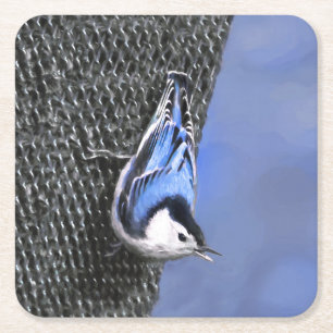 White-Breasted Nuthatch schilderende Originele Bir Kartonnen Onderzetters