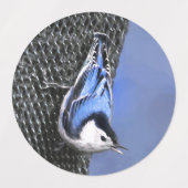 White-Breasted Nuthatch schilderende Originele Bir Labels (Design 2)