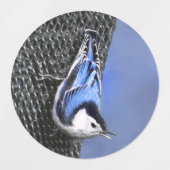 White-Breasted Nuthatch schilderende Originele Bir Labels (Design 1)