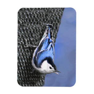 White-Breasted Nuthatch schilderende Originele Bir Magneet