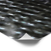 White-Breasted Nuthatch schilderende Originele Bir Perfect Poster (Hoek)