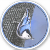 White-Breasted Nuthatch schilderende Originele Bir Sticker (Voorkant)