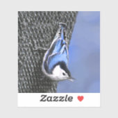 White-Breasted Nuthatch schilderende Originele Bir Sticker (Vel)