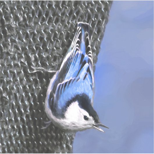 White-Breasted Nuthatch schilderende Originele Bir Sticker (Voorkant)